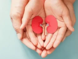 2 Tes Sederhana untuk Mengecek Kesehatan Ginjal Anda