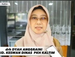 500 Hewan Piaraan di Vaksin Rabies Gratis
