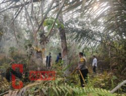 Polres Dharmasraya dan jajaran kembali Padamkan Karhutla di Dua Titik Api Nagari Kurnia Selatan dan Kenagarian Sungai Kambuit