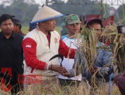 Masa Depan Cerah Dunia Pertanian, Komitmen Seno Aji Bantu Pertanian Milenial di Kutai Kartanegara
