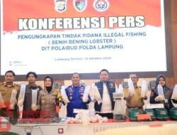 DKP Lampung: Tindak Tegas Pelaku Perdagangan Ilegal Benih Lobster Demi Kelestarian Laut