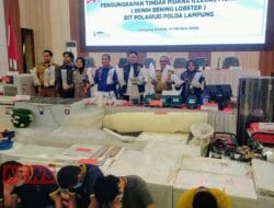Ditpolairud Polda Lampung Gagalkan Penyelundupan Baby Lobster Senilai Rp 37,3 Miliar