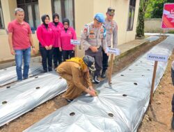 Dorong Ketahanan Pangan, Polres Dharmasraya Canangkan Program Pekarangan Lestari