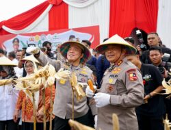 Irwasum Polri Pimpin Panen Raya Jagung di Madiun, Dorong Swasembada Pangan