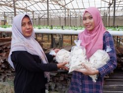 Rini Ismawati, Ibu Rumah Tangga yang Sukses Kembangkan Kebun Mandiri di Samarinda