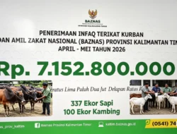 BAZNAS Kaltim Himpun Infaq Kurban Rp7,15 Miliar, Ratusan Hewan Kurban Disalurkan