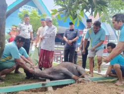Idul Adha di Lapas Narkotika Samarinda, Kanwil Ditjenpas Kaltimtara Awasi Pelaksanaan Kurban