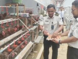 Lapas Kelas IIA Samarinda Kembangkan Program Ketahanan Pangan, Fokus Ayam Petelur dan Peternakan Produktif