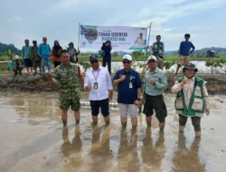 BRMP Kaltim Kawal Gerakan Tanam Serentak Nasional 50 Hektare, Percepat Peningkatan Produksi Padi