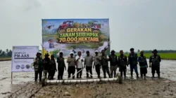 Model PM-AAS Jadi Percontohan Tingkatkan Produktivitas Padi di Sebuntal